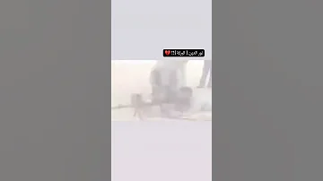 الشهيدالشيخ نور الدين بركة 