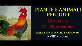 PIANTE E ANIMALI PERDUTI, GUASTALLA 27 - 28 Settembre 2014