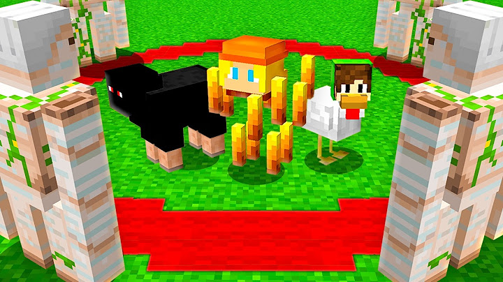 MOBS SERVER inside the CIRCLE in Minecraft!