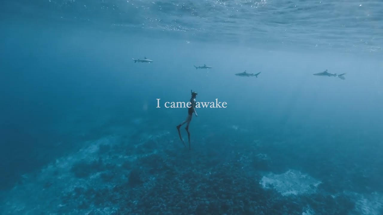 Assista a Lorena Leigh - Whales (Lyric Video) no YouTube Assista a Lorena Leigh - Whales (Lyric Video) no YouTube