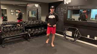 Alternating Back Lunge with an Overhead Reach