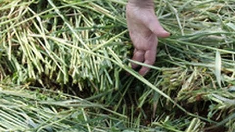 Using RUSLE2 to Evaluate Soil Health Planning Principles