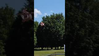 EZ Flying Pig #shorts
