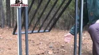 Wild Hog Trapping | Disproving Continuous Catch Gates - Feral Pig Control Methods | JAGER PRO™