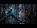 Hypnotic Bayou Blues for Midnight Drives Through Haunted Fog