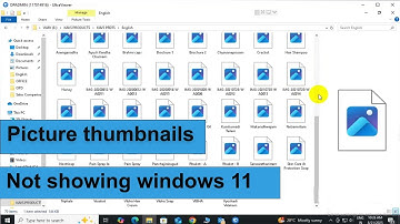 Fix Thumbnails Not Showing in Windows 11 | Quick Solution