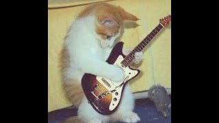 Download Lagu LESGOOO NYANYI DI GROBLOXXXXXX #roblox #robloxid MP3