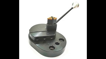 Assorts Exclusive Designed-World