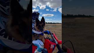 Taking Luna The Doggo For a Ride On The CRF300F