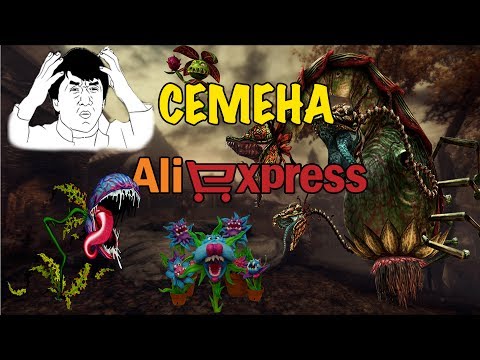 Семена с китайского сайта