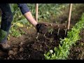 Compost in situ  rseau du compostage de territoire