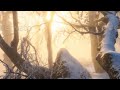 Change is in the air 🌬🌫 #weather #inspiration #shortsviral #shortvideo #videovlog #love #outdoors