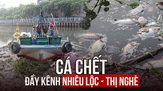 Cá chết trên kênh Nhiêu Lộc - Thị Nghè, công nhân trắng đêm xử lý
