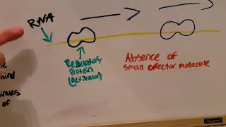 Genetics Exam mini video Module 6