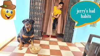 Jerry stealing food || dog stealing food || funny dog video ||