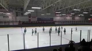 Matrix Juvenile - Synchroskate 2020