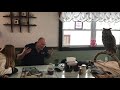 The Great Snowy Owl Caper by Mark Manske, Book Signing