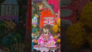 Bankey Bihari Ji Phool bangla Darshan 🙏