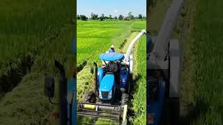 Harwesting karta huwa kisan👳🌱🌾@tech deepak ai