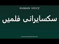 How To Pronounce سکسایرانی فلمیں How To Pronounce سکسایرانی فلمیں
