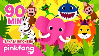 Kumpulan Lagu Binatang, Baby Shark dan lain-lain Lagu Anak Pinkfong Indonesia