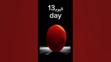 مراحل نمو الجنين في بيضه الحمام Stages Of Embryo Development In Pigeon Eggs 