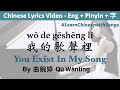  you exist in my song  wanting pinyin  english lyrics wo de gesheng li learn chinese with songs