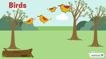 Human Language and Animal Communication