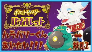 【 ポケモンSV 】ほぼ初見ポケモンバイオレット！何とかしてハラバリーちゃんと仲良くなりたい！🐸🐸の旅！第１回【ケモノ系ドラゴンVtuber実況配信】#ケモノ系vtuber #ポケモンsv