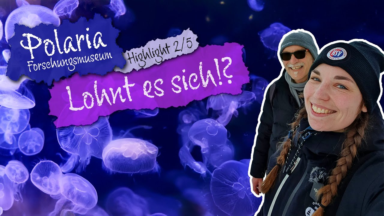 Norwegen // Tromsø City Highlights 2/5 - Polaria, lohnt es sich?