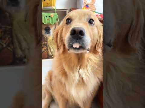 بلحظة قلب أرنب