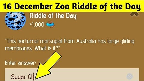Riddle of the Day Zoo 16 December | Zoo Riddle of the Day | Riddle of the Day X Empire