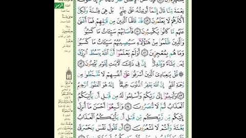 سوره الزمر صفحه 464 بصوت ميثم التمار