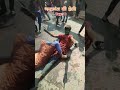 holi day 2 #shorts #viral #holi #ytshorts