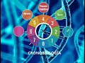 Cronobiología y metabolismo: conocimientos para mejorar nuestra salud y evitar enfermedades