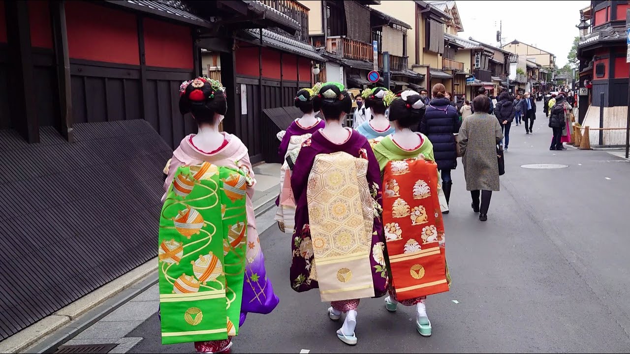 Geisha Walk in Gion Shijo | Sakura | Amazing Beautiful Kimono and Obi | Kyoto Japan Travel