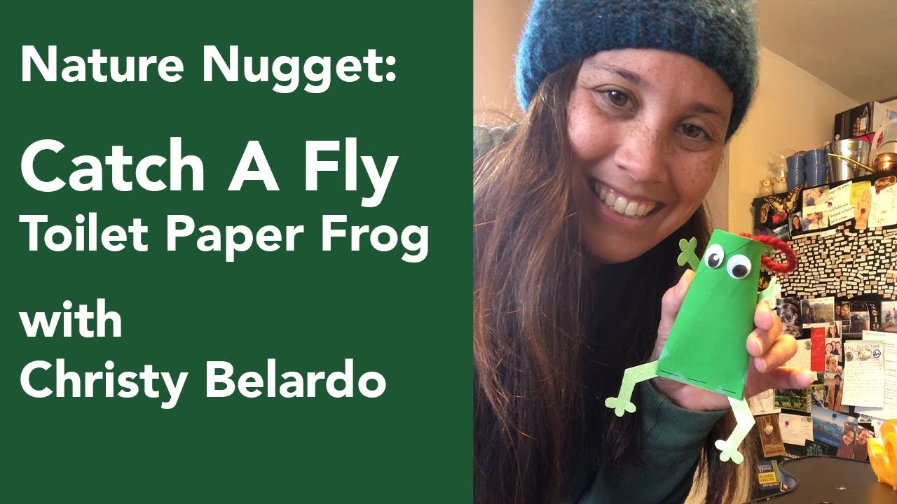 Catch-A-Fly Toilet Paper Frog  Nature Nugget Activities 