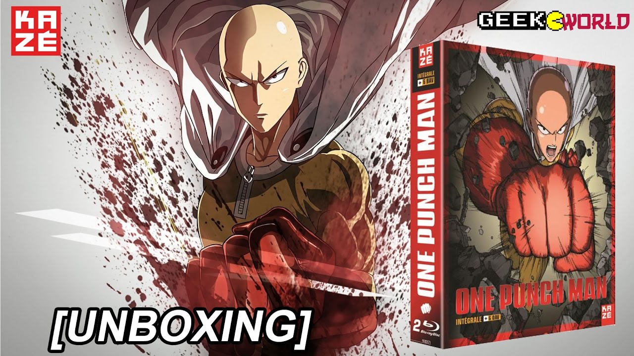 One Punch Man Tome Collector