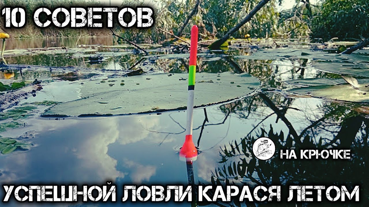 Ловля карася летом. Эти советы набьют твой садок до завязки карасём. #рыбалка #карась