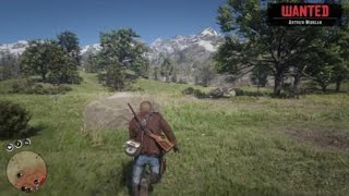 Friendly Fire Red Dead Redemption 2