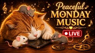 🔴 Peaceful Monday Music LIVE ☕ Cozy Cat & Mice | Relaxing Music for Work, Study & Good Vibes screenshot 5