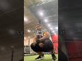 #gym4u #gymlifestylevideos #fitnesslifestyles #gymmotivationdaily