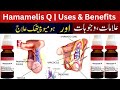 How to varicoceles | Hammallis Q uses and benefits | homeopathic medicine dr Ghulam Murtaza