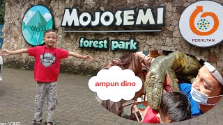 Explore mojosemi forest park terbaru 2021 kabupaten magetan