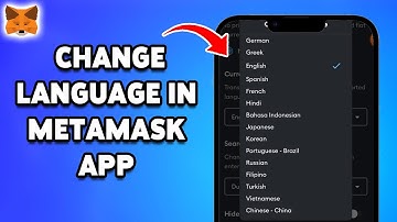 How To Change Language In MetaMask App 2024 | Customize Your MetaMask Experience