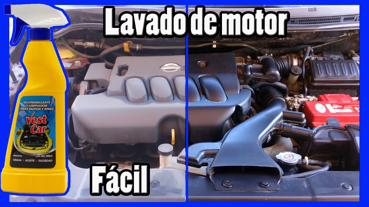 Lavado de motor simple y rápido con Vest Car. Limpieza básica de motor