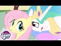 My Little Pony en español 🦄 La Aventura del Ave | La Magia de la Amistad | Episodio Completo