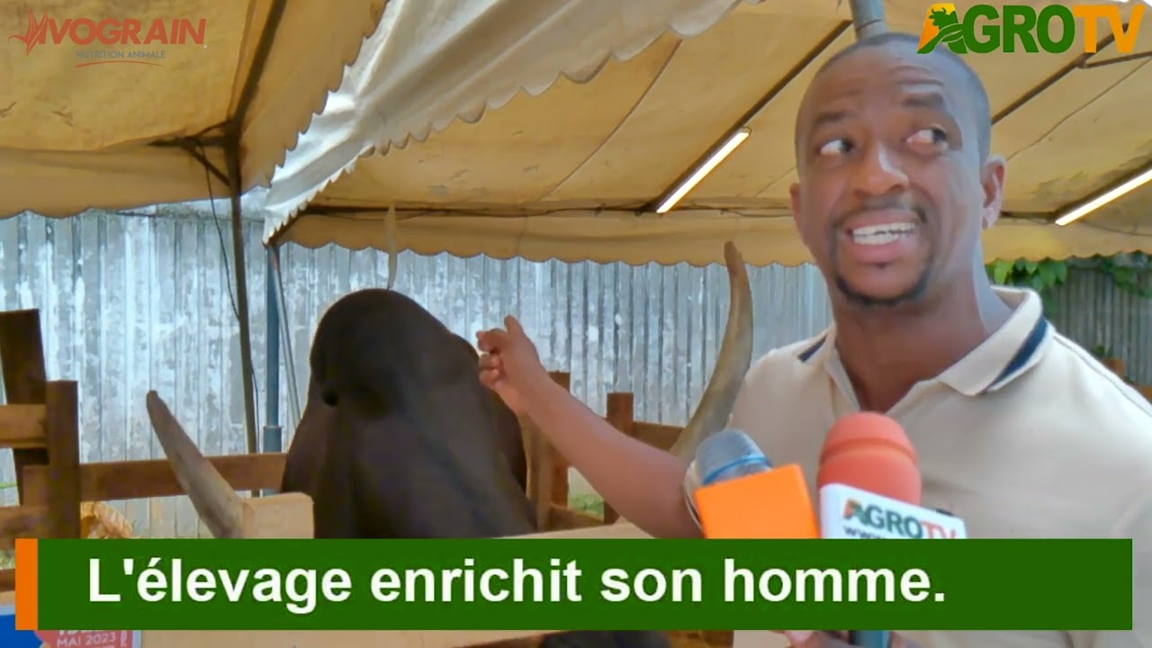 Monsieur BAH : L'ÉLEVAGE ENRICHIT EN HOMME.