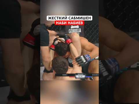Hard Submission Ufc Mma Naiza Octagon Nomad Knockout Alash Boxing Rukh Nabi Dagestan
