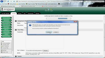 SafeAssignment Guide.avi